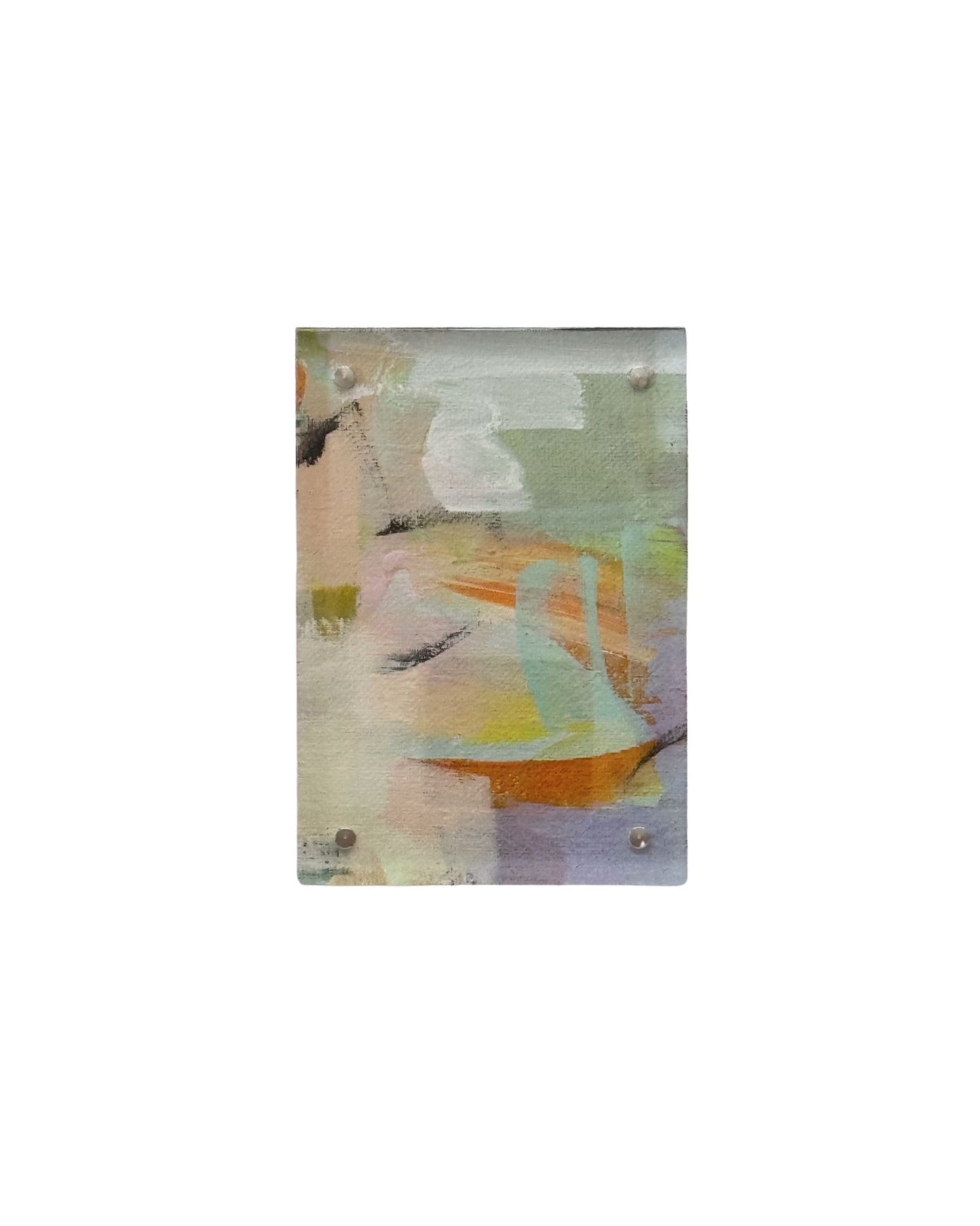 Pamplemousse | Acrylic Art Bundle